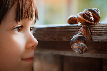 Little girl intently watching small snail crawling along wooden bench while spending time in nature