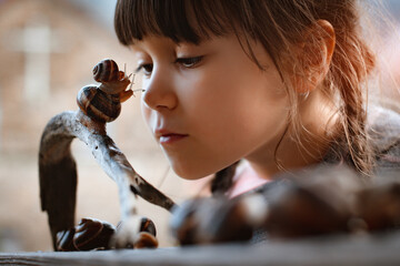 Little girl intently watching small snail crawling along wooden bench while spending time in nature - obrazy, fototapety, plakaty