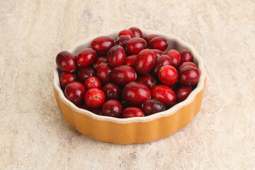 Ripe sweet tasty cranberry in the bowl