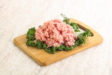Raw pork minced meat for cooking