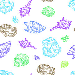 

Pattern. Sea shells, linear image. Vector drawing, background, design, printing.
