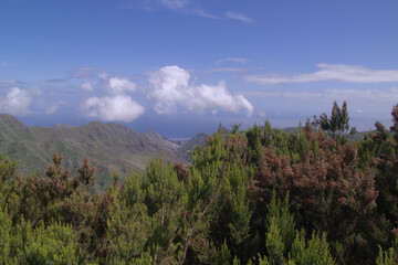 Tenerife, landscape of the north east part of the island from around Mirador del Llano de los Loros 
viewpoint in  Anaga forest park
