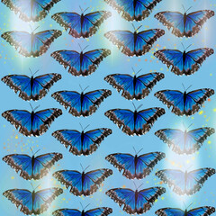 Fototapeta na wymiar butterflies,butterflies with sequins,blue-black butterfly,exotic butterfly,butterfly with bubbles,butterfly with highlights,butterfly on a sky background,butterfly on a green background