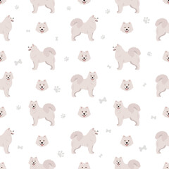 Samoyed dog seamless pattern. Different poses, coat colors set