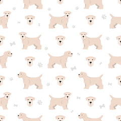 Sealyham terrier seamless pattern. Different poses, coat colors set