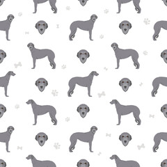 Scottish deerhound seamless pattern. Different poses, coat colors set