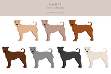 Shar Pei bone mouth clipart. Different poses, coat colors set.