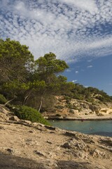 Playa Portals Vells, Beautiful nature, trees, sky, sea, Mallorca, Balearic Islands, Spain.