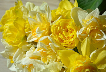 Obraz na płótnie Canvas żółte narcyzy w wazonie (Narcissus), Wielkanoc, wielkanocna dekoracja, wiosenne kwiaty, Easter decoration, bouquet of narcissus, daffodils in a vase, bouquet of yellow daffodils. 