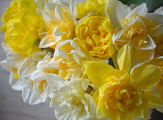 żółte narcyzy w wazonie (Narcissus), Wielkanoc, świąteczna ozdoba, wielkanocna dekoracja, wiosenne kwiaty - obrazy, fototapety, plakaty