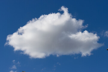 lovely fluffy white clouds in the sky above Sydney NSW Australia at sunset
