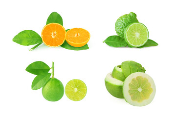 four kinds of citrus fruits lime, bergamot, grapefruit, orange isolated on white - obrazy, fototapety, plakaty