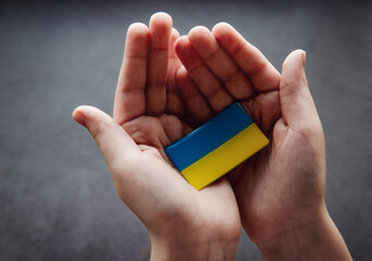 Ukraine flag in hands