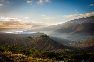 Morning landscape covered with fog near Valle de Abdalajis in Andalusia, Spain