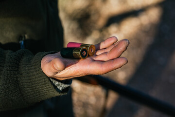 Man's hand holding two shotgun cartridges in his hand