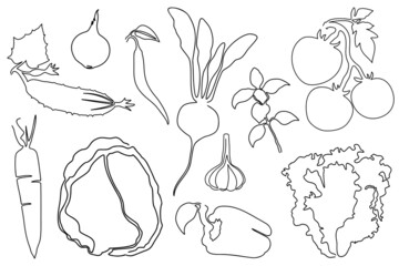 Vegetables silhouettes, set of vector illustrations in continuous line drawing style.