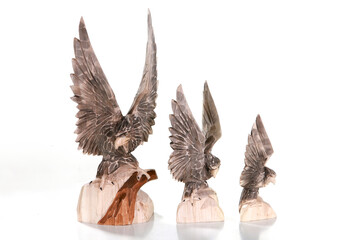 black headed eagle with wings