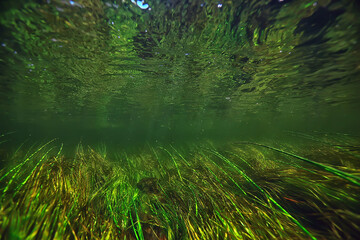 abstract underwater background in the lake, clean freshwater