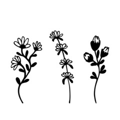 Set of hand drawing plants of in doodle style. Botanical element in black ink for the design of cards, postcards, patterns, covers. Vector illustration isolated on white background.