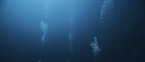 Fototapeta premium underwater fresh water landscape, mountain lake ecosystem background in summer, under water view