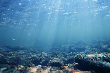 sun rays under water blue ocean background, abstract sun light in water wallpaper