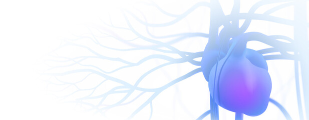 abstract human heart