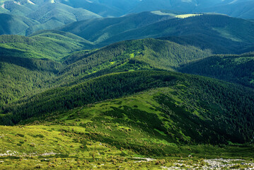 Fototapeta na wymiar Carpathian mountain landscape