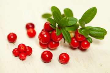 Cowberries on white wooden background