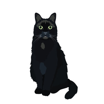 Black cat. Domestic animal. Flat vector stock illustration