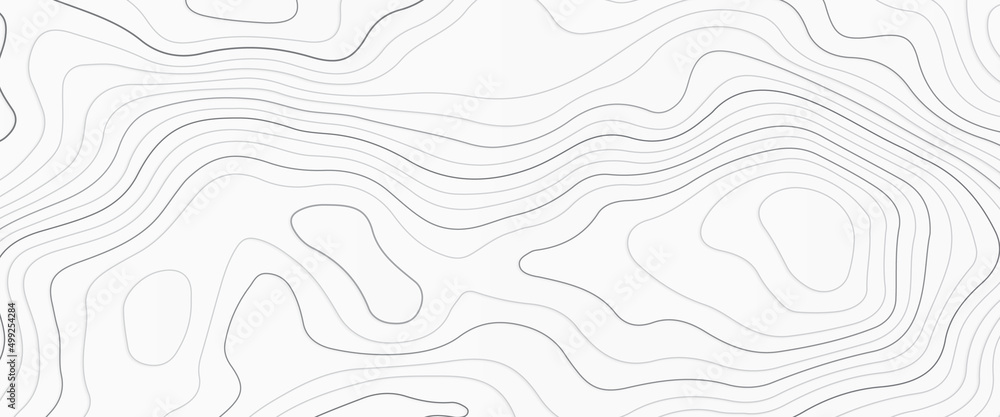 Poster topographic map. geographic mountain relief. abstract concept graphic element and geography scheme, 