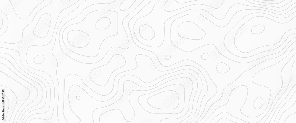 Poster topographic map. geographic mountain relief. abstract concept graphic element and geography scheme, 