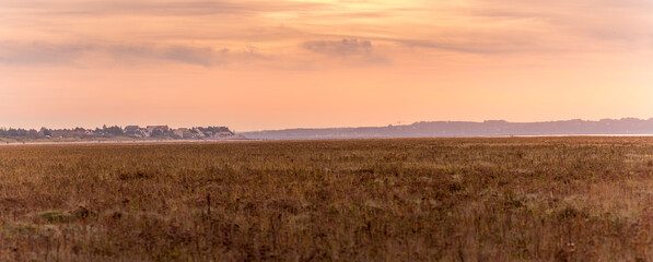 marais en baie de Somme