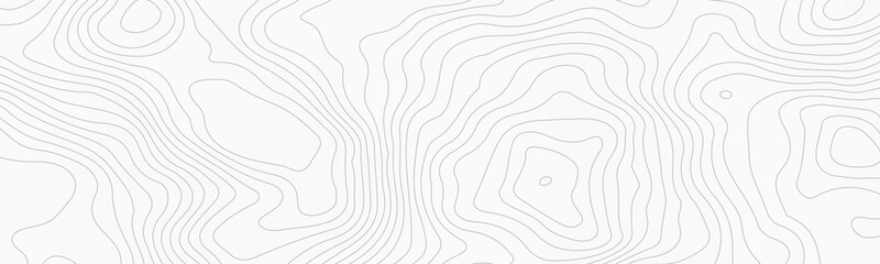 Fototapeta premium Topographic background and texture, monochrome image. 3D waves. Cartography Background, White wave paper curved reliefs abstract background.