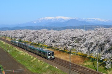 一目千本桜と蔵王連峰