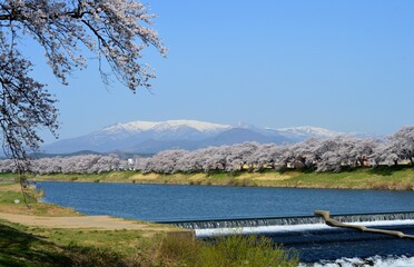 一目千本桜と蔵王連峰