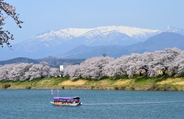 一目千本桜と蔵王連峰