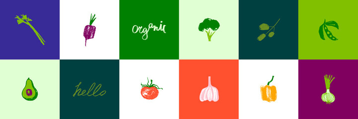 Vector vegetable icon set for organic food label, healthy eat packaging design. Green hand drawn broccoli symbol, tomato icon, onion sign, soy Illustration, beet drawing, olive insignia, avocado logo.