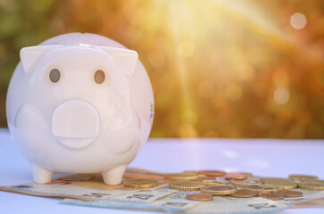 piggy bank and money euros coins