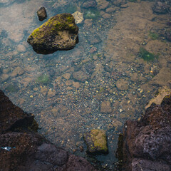 Rock pool