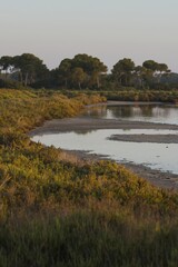 Water areas in the park, Es Trenc-Salobrar Natural Park, Beautiful nature, Mallorca, Balearic Islands, Spain.