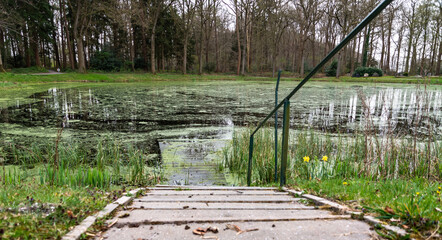 Stairs to the water in the park and a footbridge under the water - obrazy, fototapety, plakaty