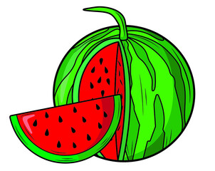Watermelon with a cut piece of watermelon in isolate on a white background. Vector illustration.