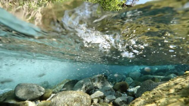 split shot  of a river underwater carrying alluvium in freshwater river in nature