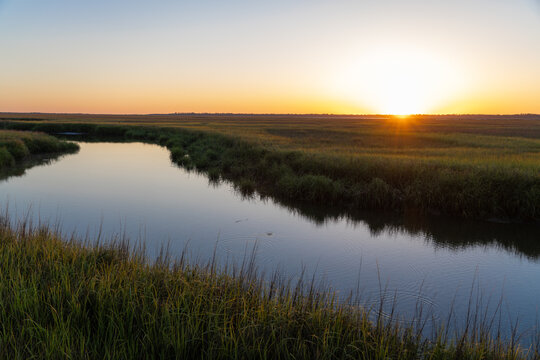 Marsh Sunrise © Gray