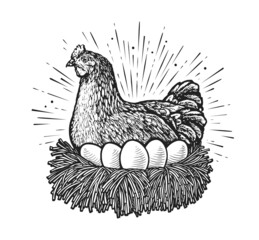 Fototapeta premium Laying hen in nest sketch vector. Farm chicken and eggs drawn in vintage engraving style