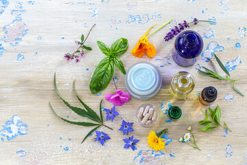 Medicinal plants around cosmetics food supplements essential oils.
