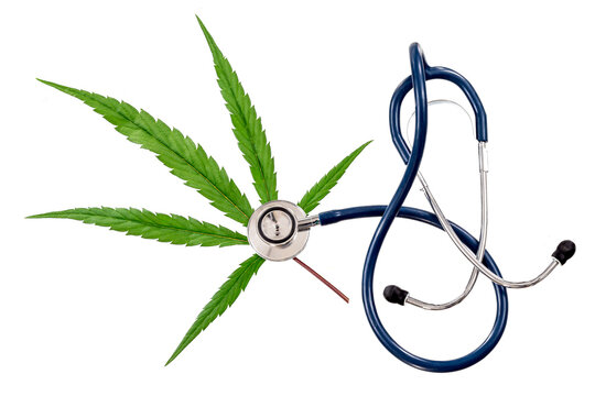 Stethoscope placed on a cannabis leaf on a bench background.
