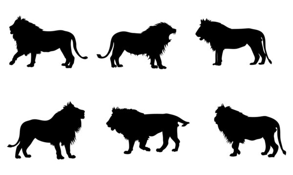 lion silhouette set. isolated vector image on white background
