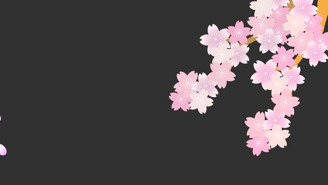 水彩の桜のループアニメーション（アルファチャンネル）
