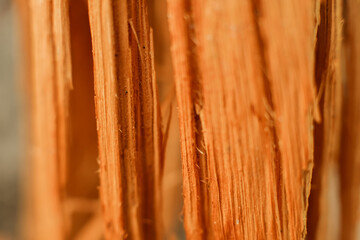 Closeup of wood grain texture. Background